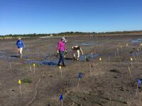 Florida Test Site Planting