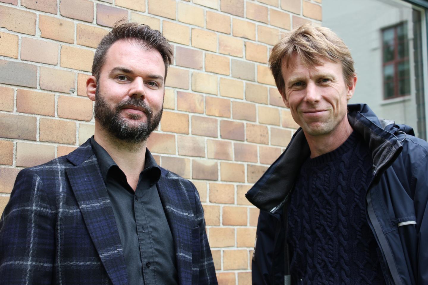 Rickard Arvidsson and Björn Sandén, Chalmers University of Technology