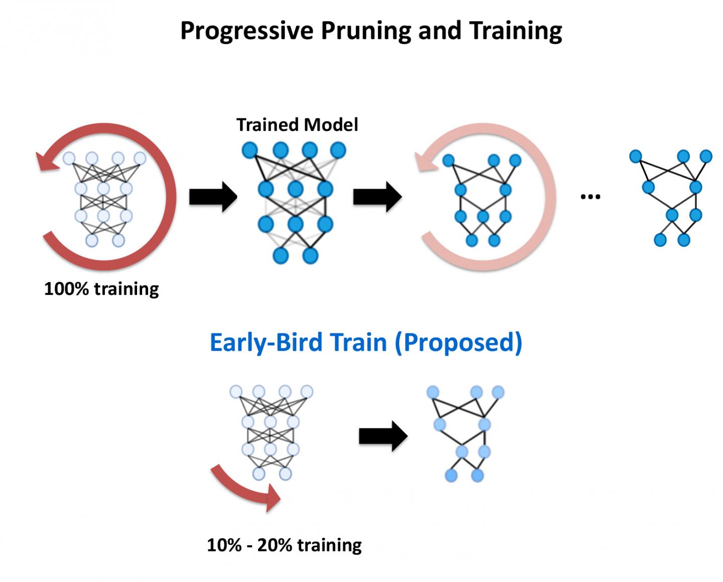 Early Bird DNN Training