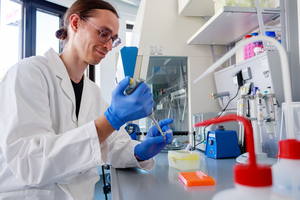 Evolution: New Emmy Noether group investigates interactions between bacteria and insects - EurekAlert