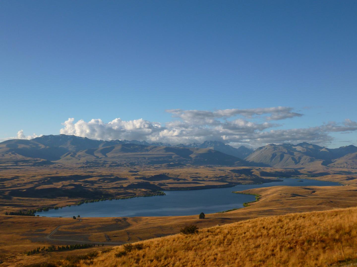 Why Does So Much of Nature Rely on Sex for Reproduction?