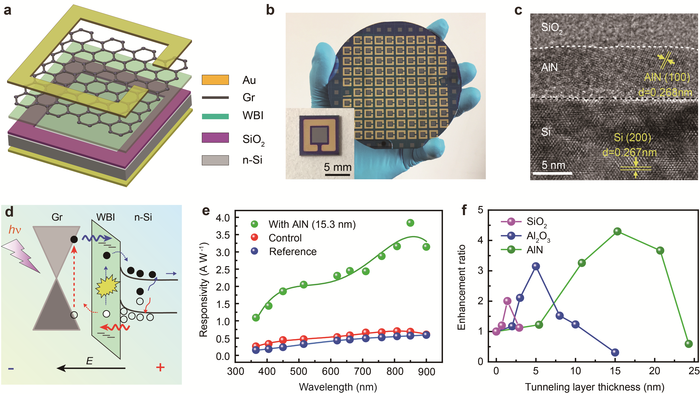 Device structure and working principle of the graphene/ insulation/ silicon (GIS) heterojunction photodetectors