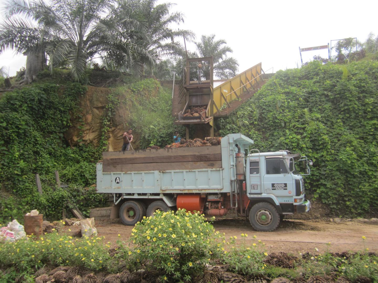 International Trade Damages Tropical Nature: NUS Study