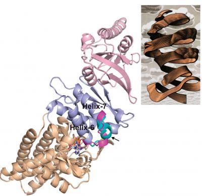 Rosetta/PHENIX Modeling