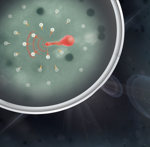 Illustration of 3D culture of cancer cells