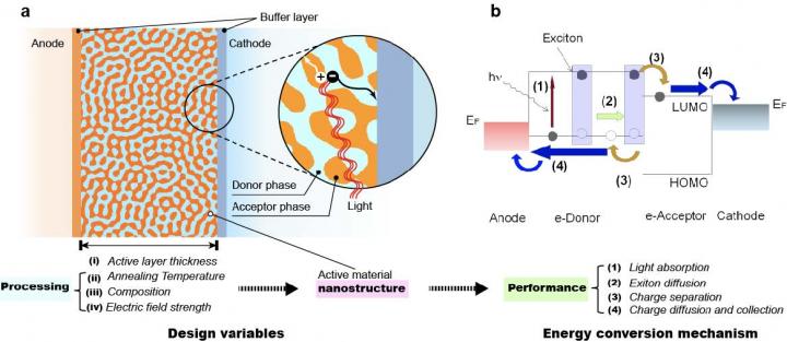 Organic photovoltaic bulk-heterojunction