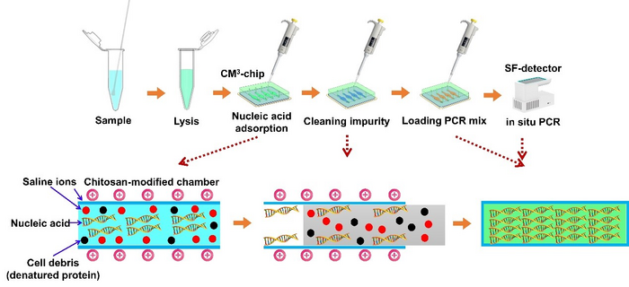 Microfluidic Real-time Detection Equipment Developed for Pathogen Nucleic Acid