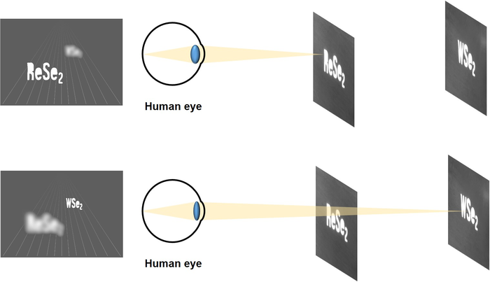 Hologram implemented with two-dimensional semiconductor