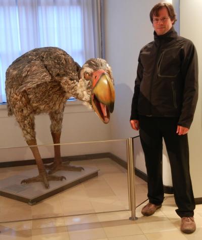 Gastornis Reconstruction, with Dr. Tuetkin, University of Bonn