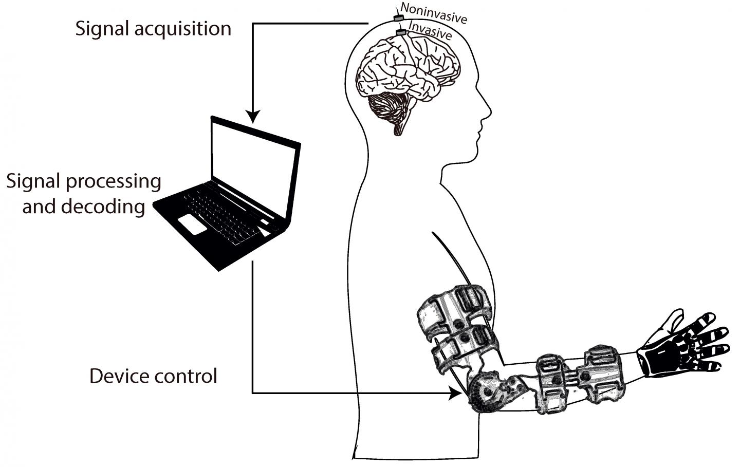 General Siagram of a Brainmac [IMAGE] EurekAlert! Science News Releases