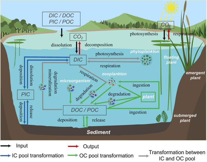 Carbon budget and cycling of inland water systems