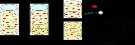 The Aqueous 2 Phase System