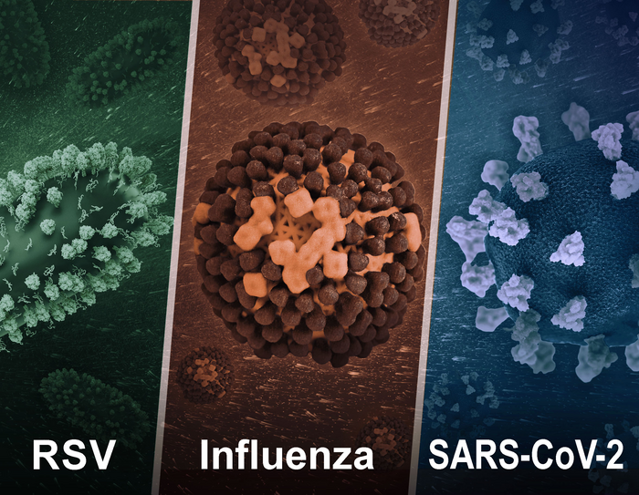 3D renditions of three dangerous respiratory viruses