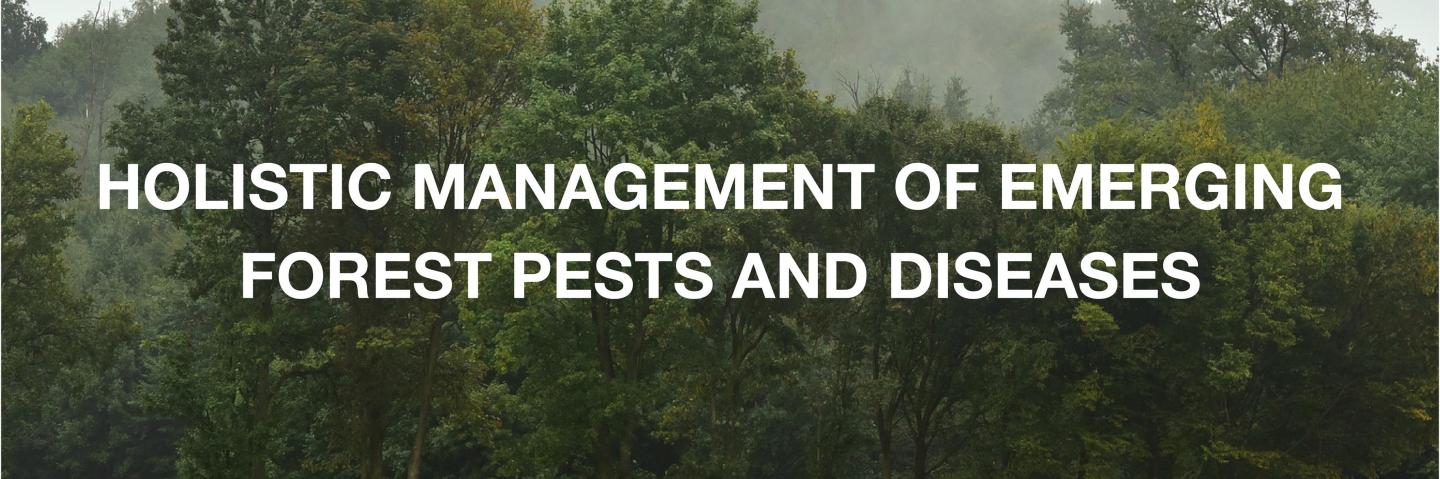 HOlistic Management of Emerging Forest Pests and Diseases