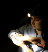 PhD researcher Jessica Agius spotlighting critically endangered lizards in the field on Christmas Island