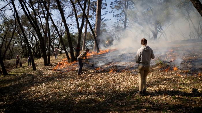 Prescribed burn, Placer County