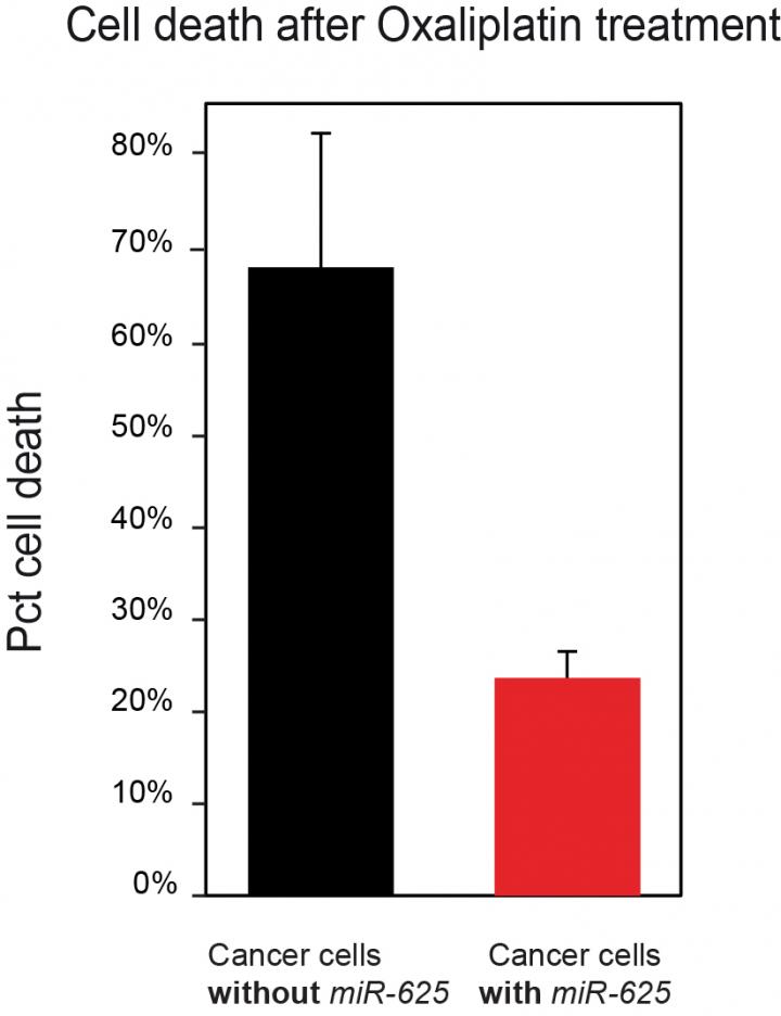 Cell Death After Oxaliplatin Treatment