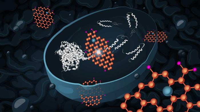 Graphene oxide reduces the toxicity of Alzheimer’s proteins in yeast cells