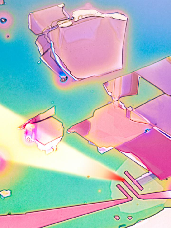 Introducing Thermal Lithography for Biochips