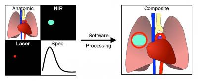 Integrated Multichannel Imaging System