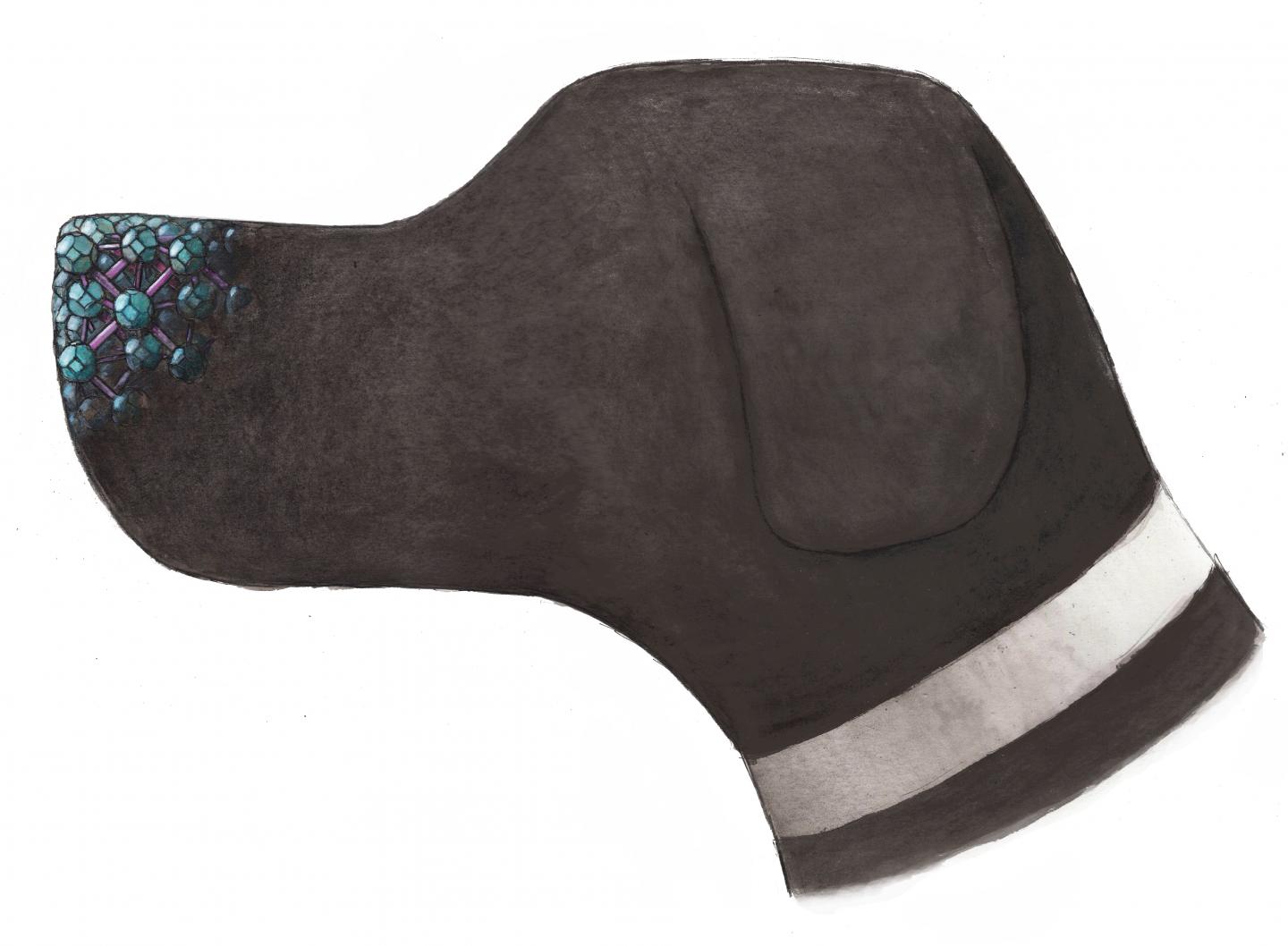 Electronic Nose Smells Pesticides and Nerve Gas