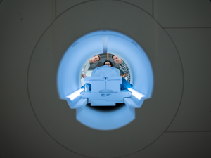 Scientists peer through fMRI scanner