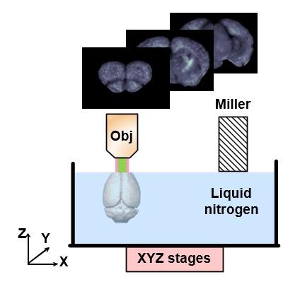 Cryo-MOST Imaging System