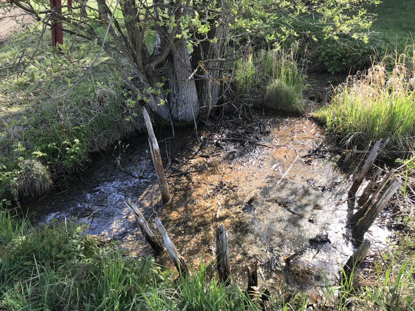 The Leväluhta Spring