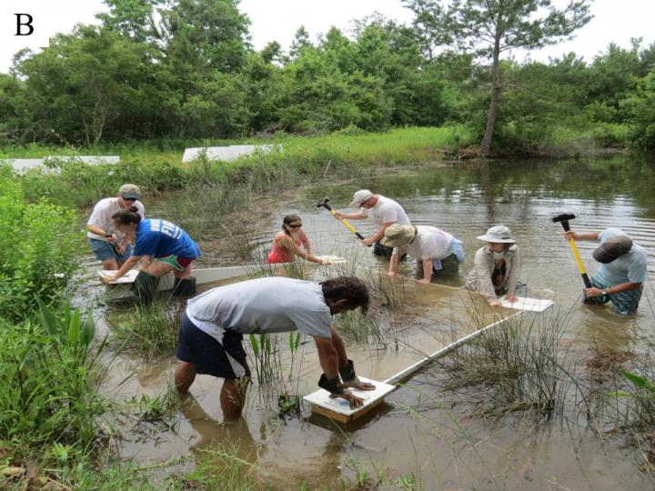 Wetland Flooding Research