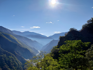 Subtropical montane forest scenery in Yushan National ParkSsubtropical montane forest scenery in Yushan National Park