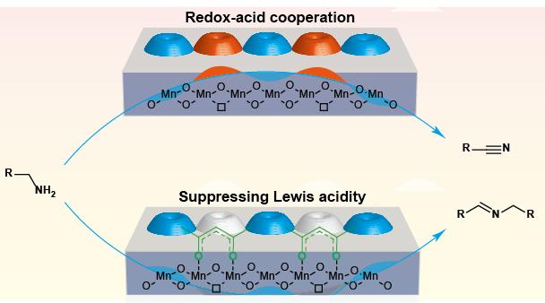 Selectivity-Tunable Amines Oxidation Over Acetylacetones-Modified Manganese Oxide Catalyst