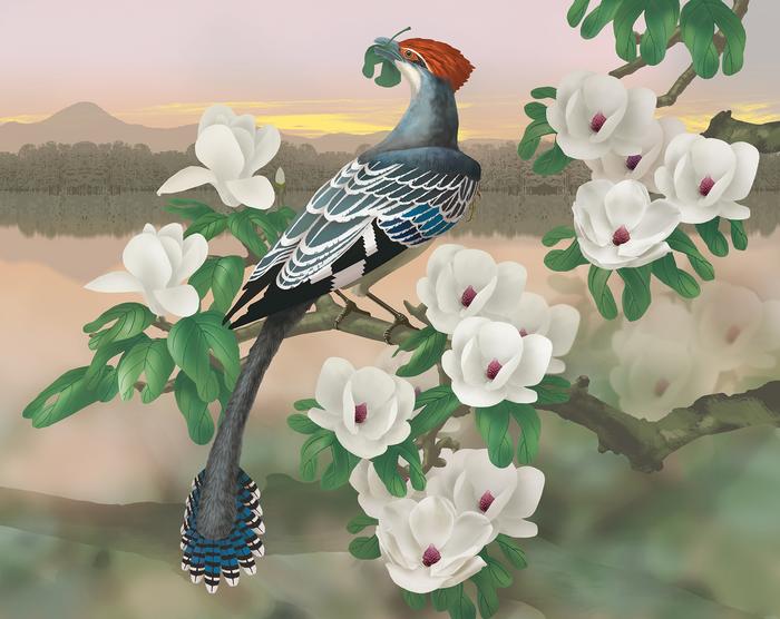 Reconstruction of the extinct, tree-living, vegetarian early Cretaceous bird Jeholornis eating leaves