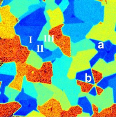 SHG Imaging of 2-D Molybdenum Disulfide