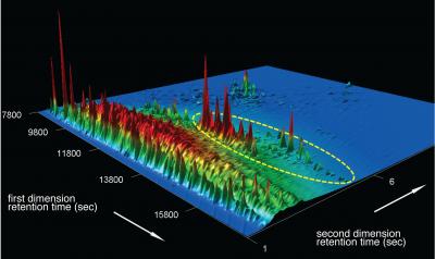 Biomarkers Used to ID Oil Onshore