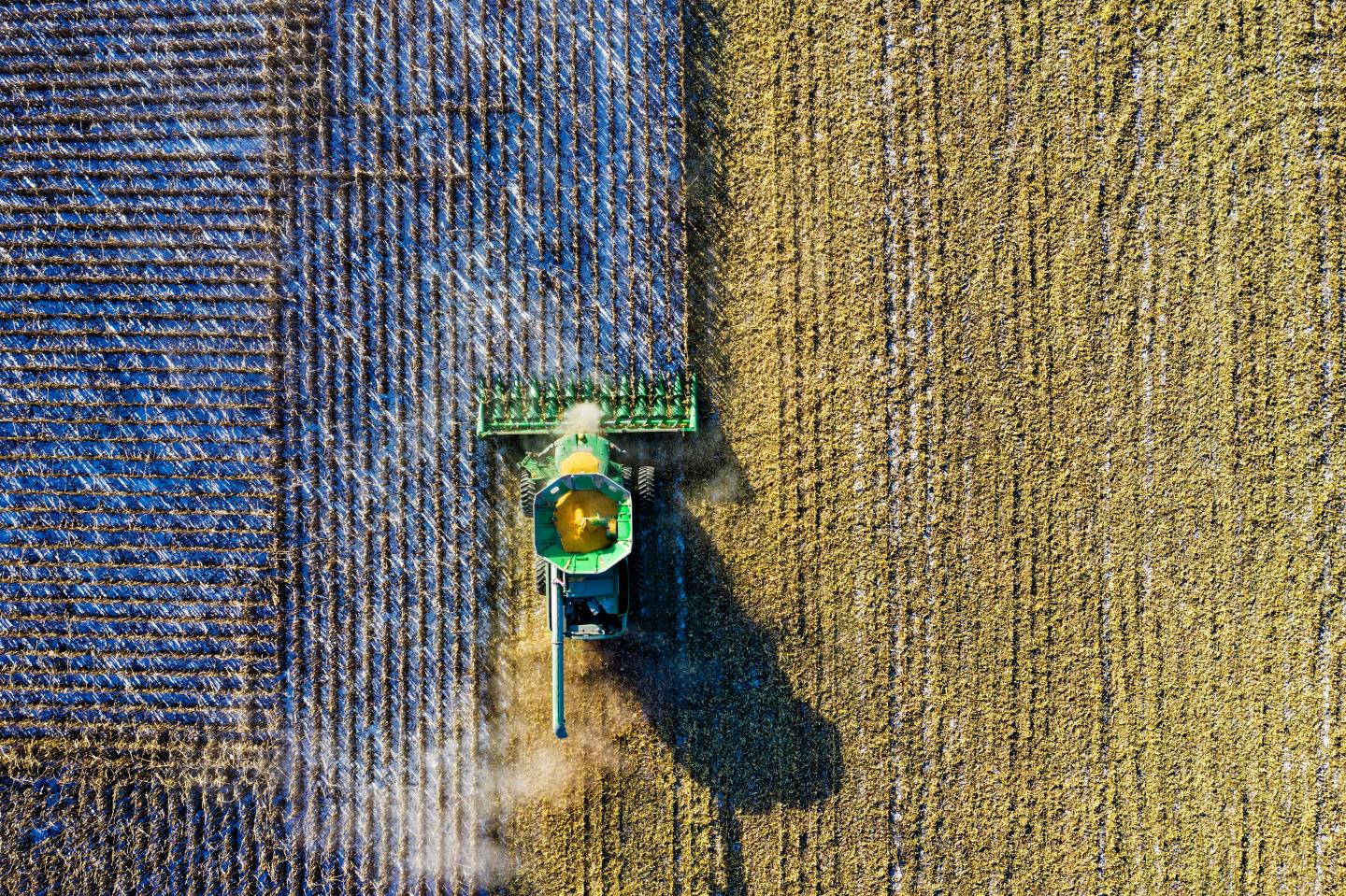 Aerial View of Harvesting