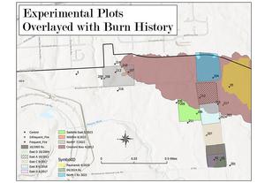 Experimental Plots Overlayed with Burn History