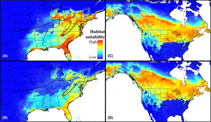 Year 2050 Climatically Suitable Areas for <i>Poecile carolinensis</> and <i>Poecile atricapillus</i>