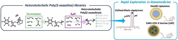 Preparation of Heterotelechelic Poly(2-oxazoline)- Library