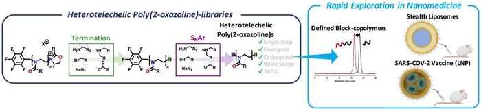 Preparation of Heterotelechelic Poly(2-oxazoline)- Library