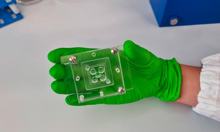 Microfluidic Device