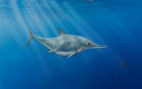A well-preserved ichthyosaur species discovered in Dorset
