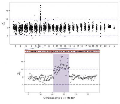 Maternal Plasma Sample BE3096 zij 1 Mb Bin Results with a Fetal Karyotype with a Duplication in Chromosome 6