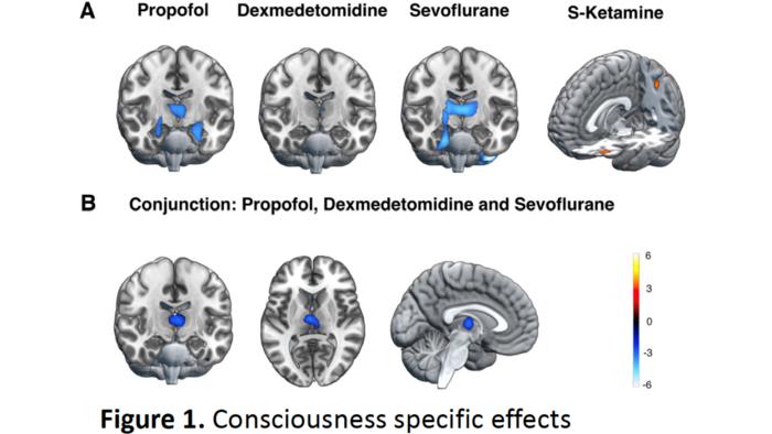 Figure 1 Image Eurekalert Science News Releases 