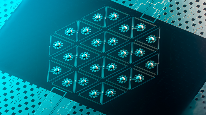 A superconducting circuit optomechanical graphene lattice.