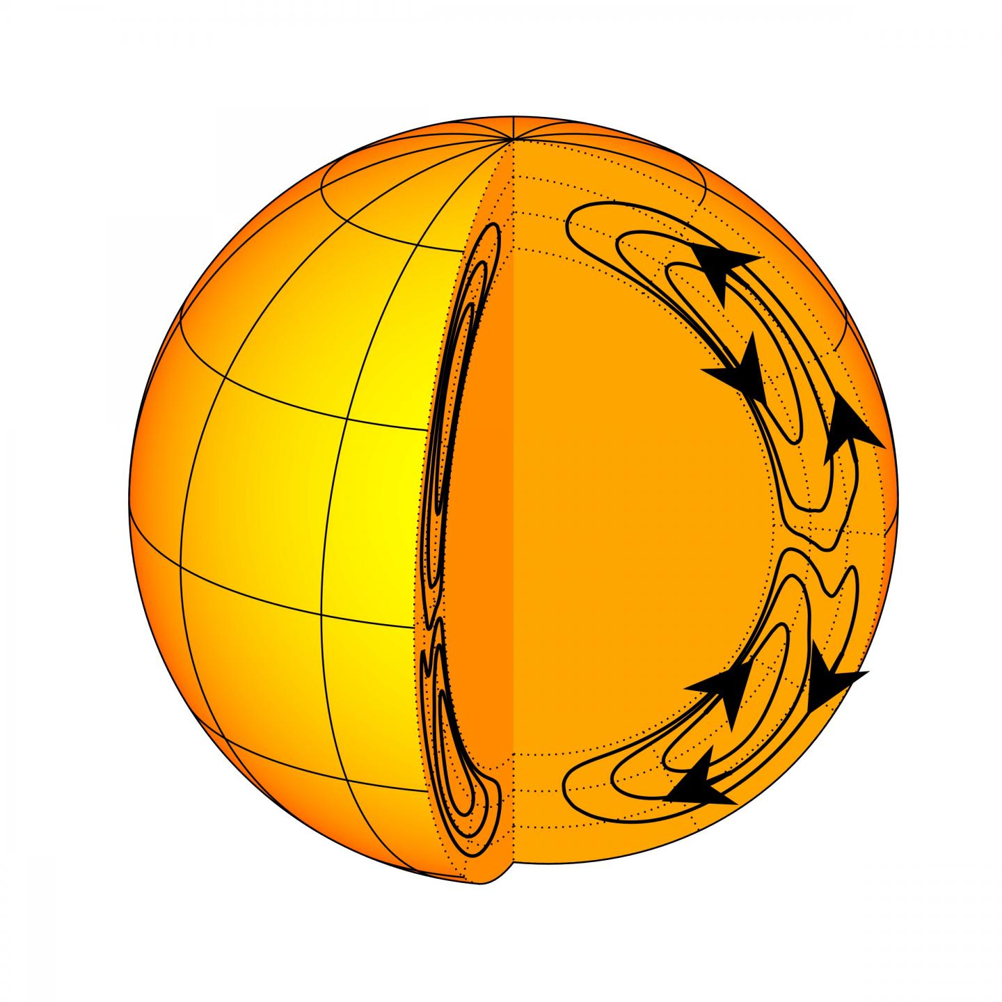 Meridional flow in the Sun's convection zone is a single cell in each hemisphere (1 of 4)