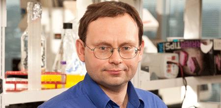 Daniel Hawiger, Saint Louis University