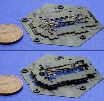 Microrobot Insect Popping Up