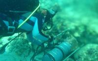 Diver Deploying a Metal pH Sensor near Coral Reef