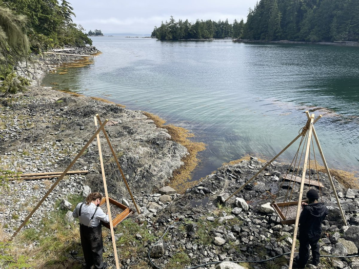 Excavation at Kakmakimilh on Keith Island, Tseshaht territory, British Columbia