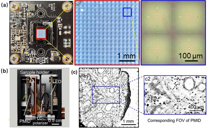 Chip-scale metalens array for polarization-embedded metalens imaging device (PMID) and compact portable microscope system (PMS).